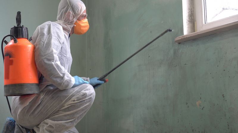 Removing Old Paint Safely